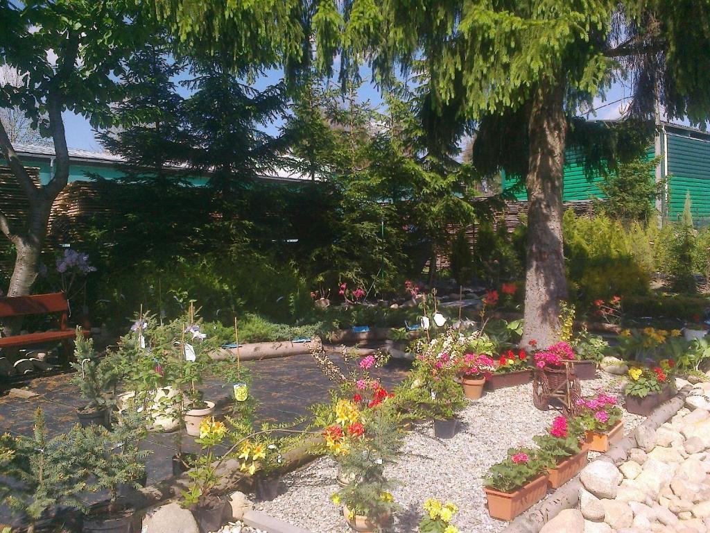 Apartman Yvet Sucany Екстер'єр фото